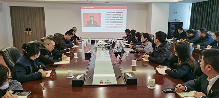 集團黨委委員、副總經(jīng)理賀維維同志講授專題黨課